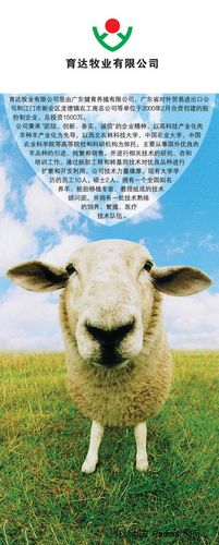 畜牧业养殖宣传x展架