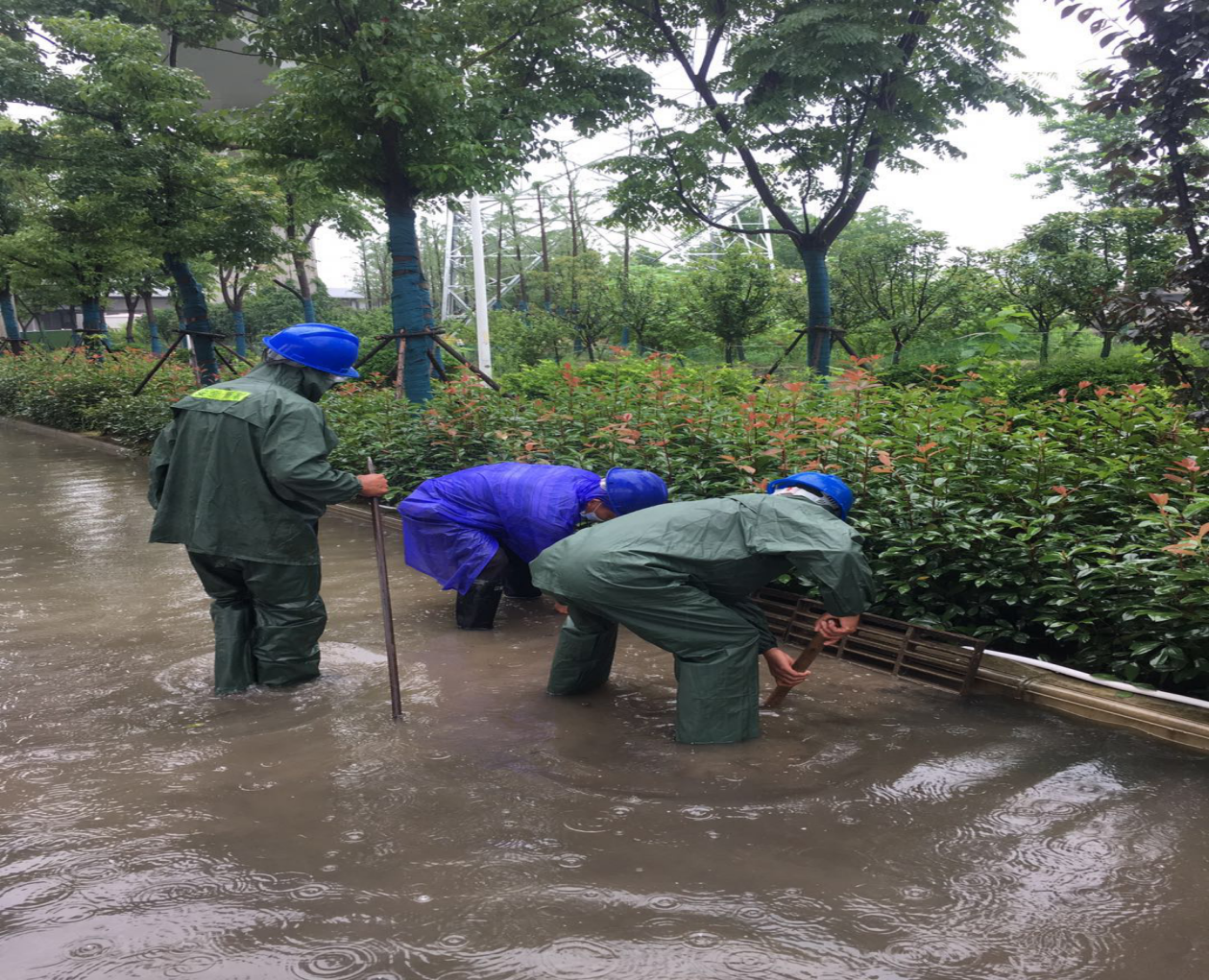 彩虹多多官网-追求健康,你我一起成长