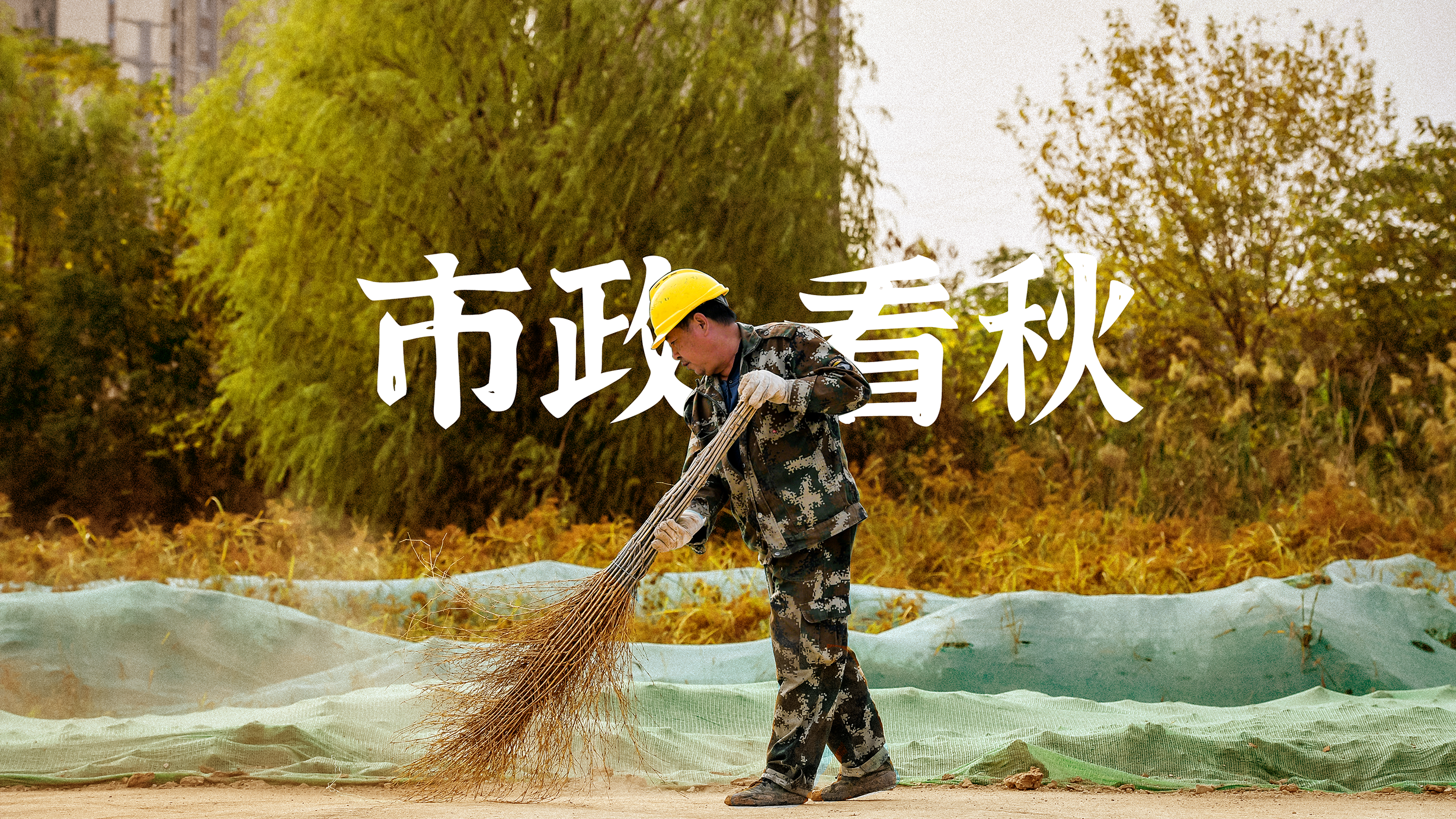彩虹多多官网-追求健康,你我一起成长