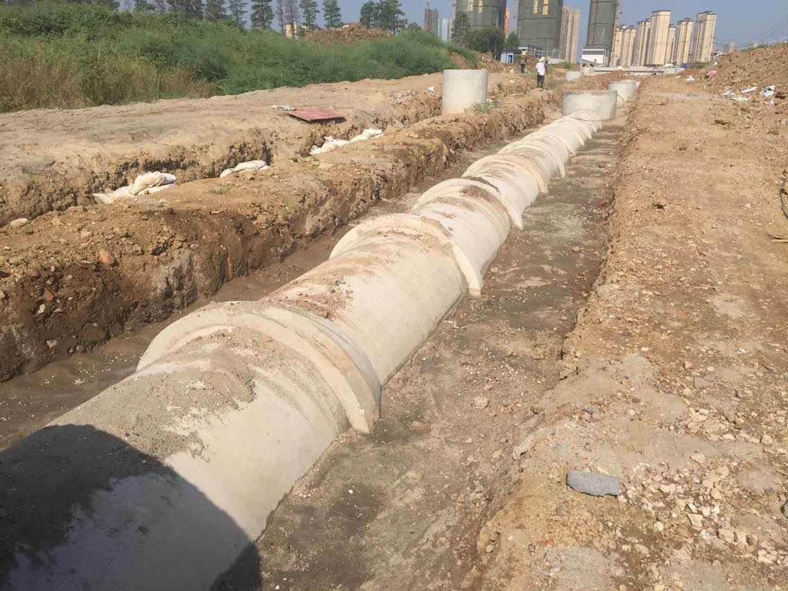 彩虹多多官网-追求健康,你我一起成长