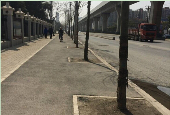 彩虹多多官网-追求健康,你我一起成长