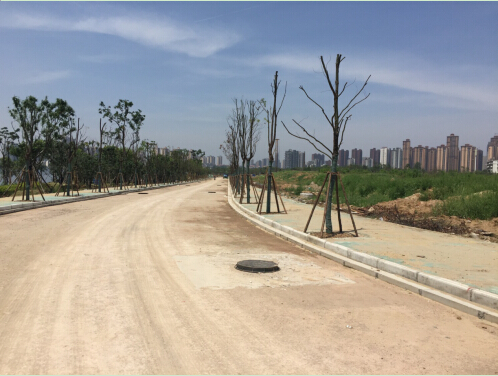 彩虹多多官网-追求健康,你我一起成长