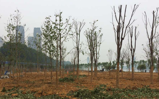 彩虹多多官网-追求健康,你我一起成长