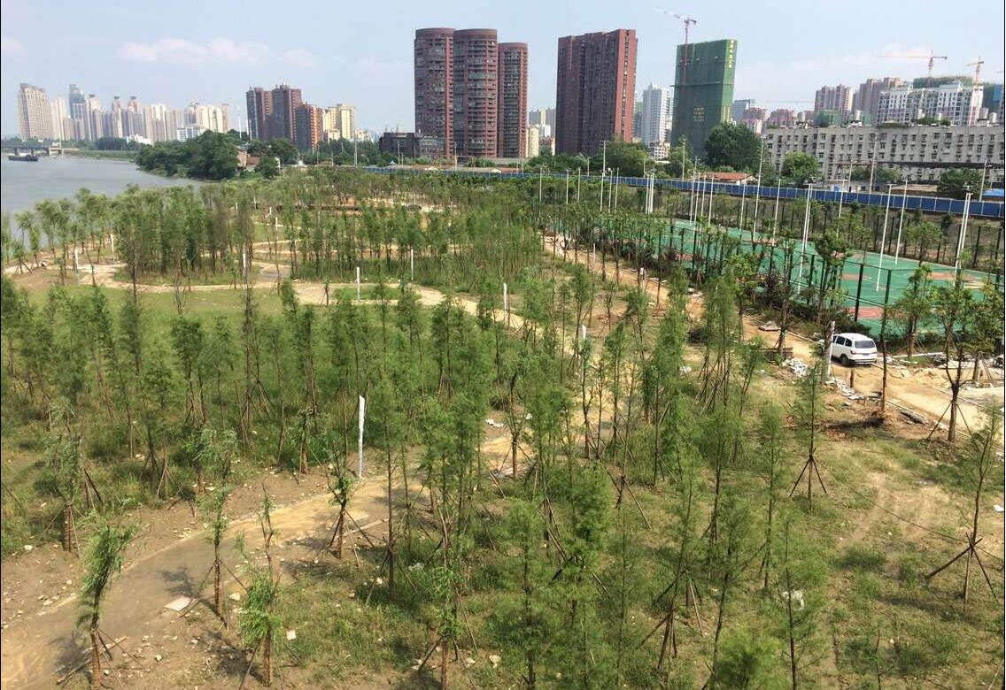 彩虹多多官网-追求健康,你我一起成长
