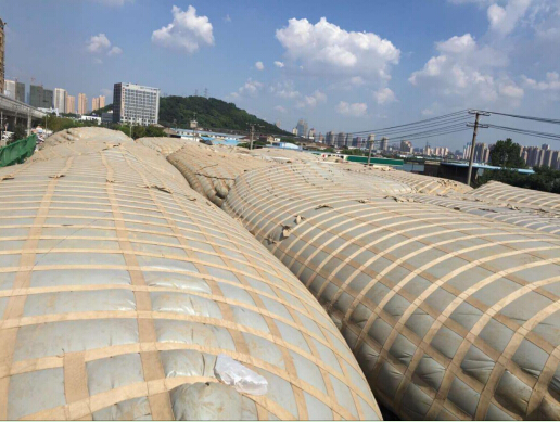 彩虹多多官网-追求健康,你我一起成长