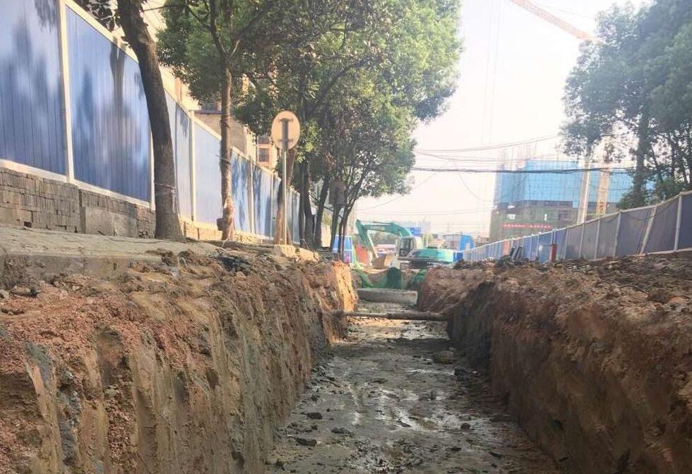 彩虹多多官网-追求健康,你我一起成长