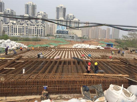 彩虹多多官网-追求健康,你我一起成长