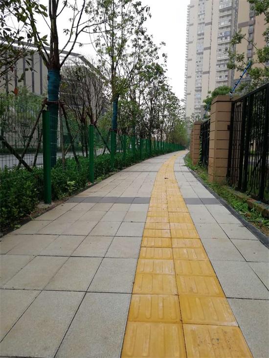 彩虹多多官网-追求健康,你我一起成长